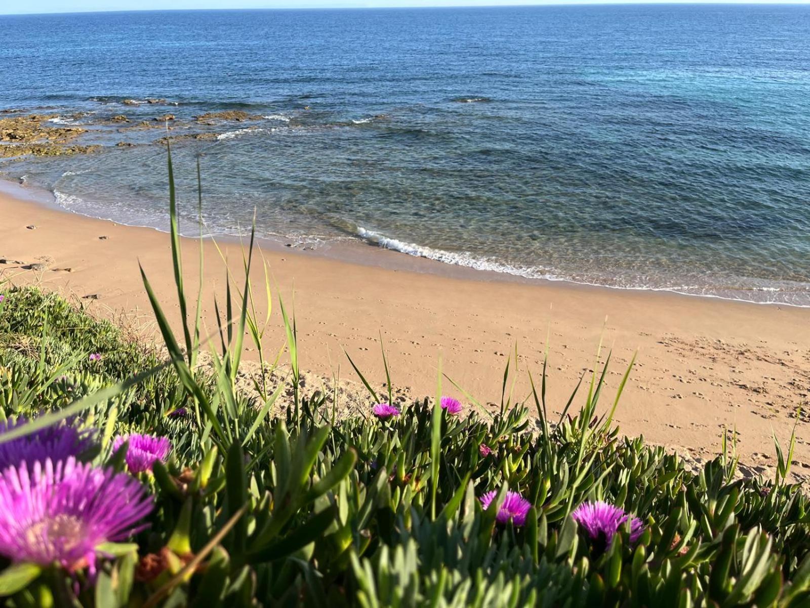La Sirena Del Viento Bed and Breakfast Los Canos De Meca Εξωτερικό φωτογραφία